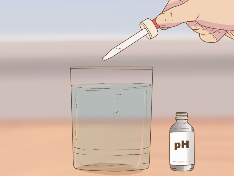 Có thể sử dụng các dung dịch đổi màu để test độ pH trong nước